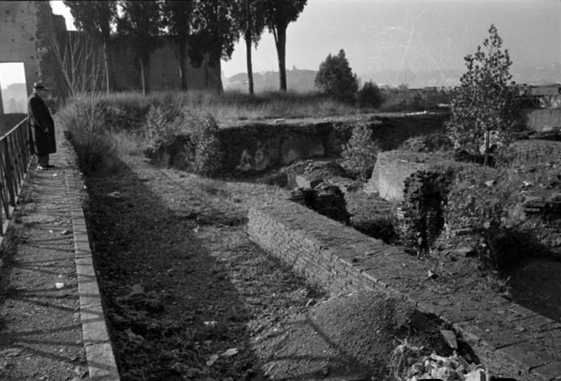 1-00014/ 07556/ 16784 - Roma - Palatino - Domus Augustana