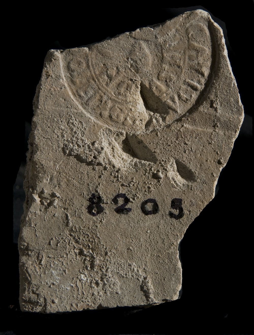 Inv. 8205.TIF