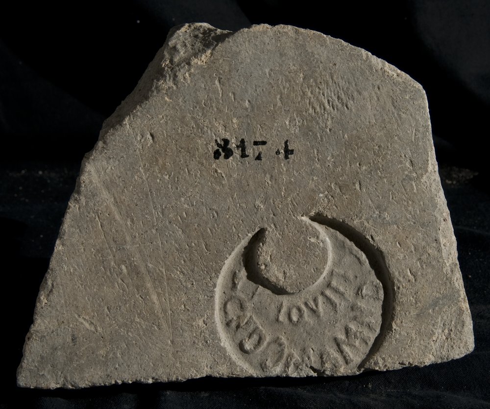 Inv. 8174.TIF