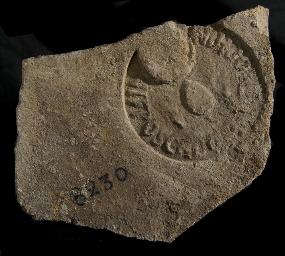 iNV. 8230.TIF