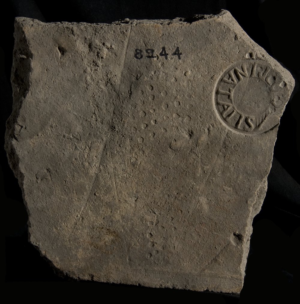 Inv. 8244.TIF