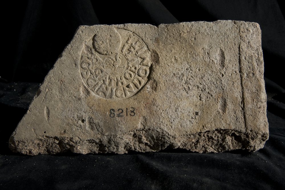 Inv. 8218.TIF