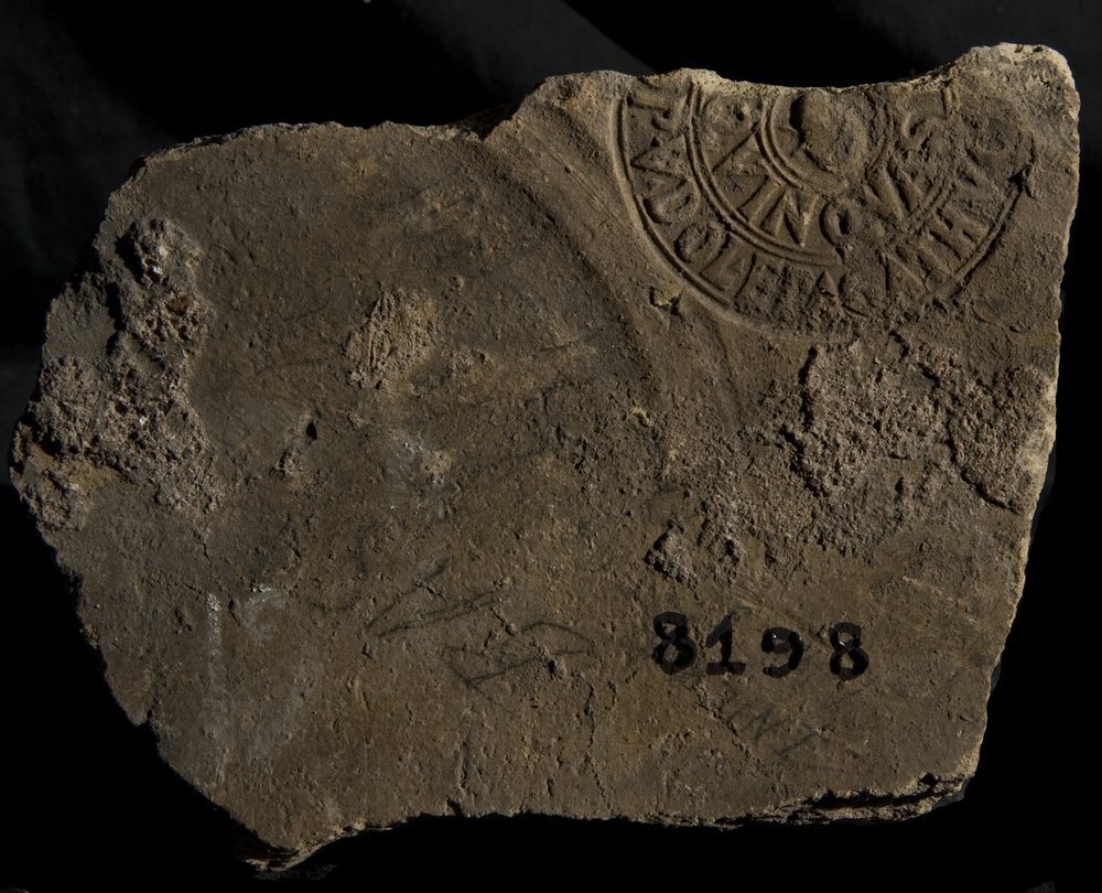 Inv. 8198.TIF