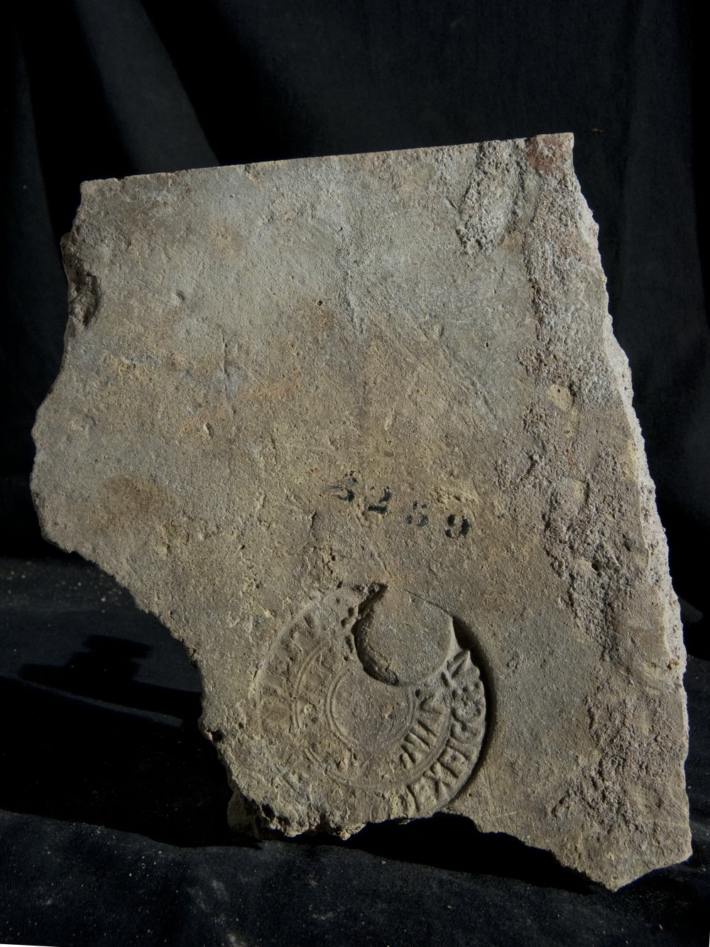 Inv. 8259.TIF