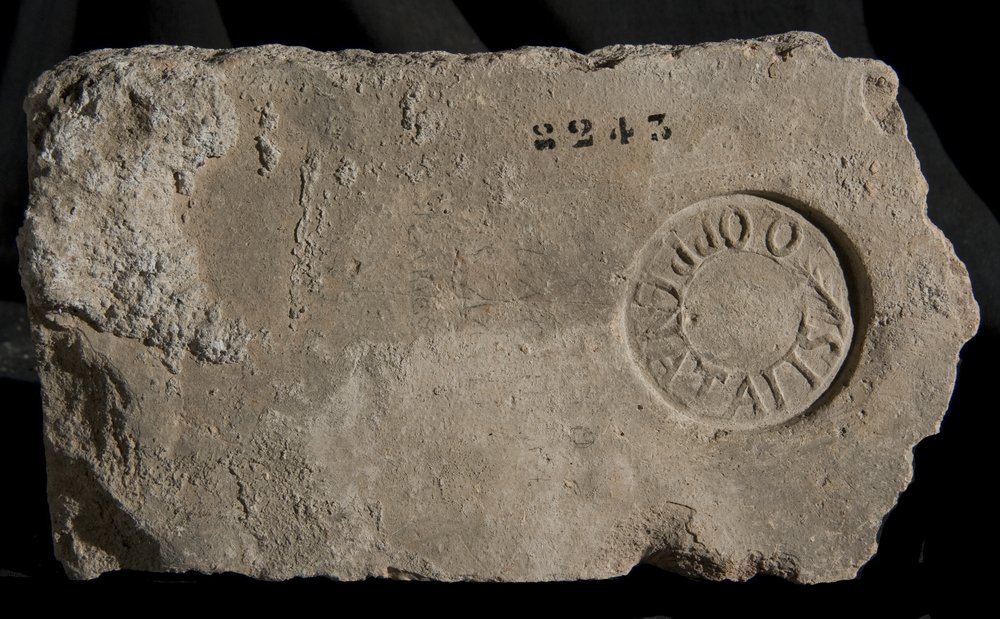 Inv. 8243.TIF