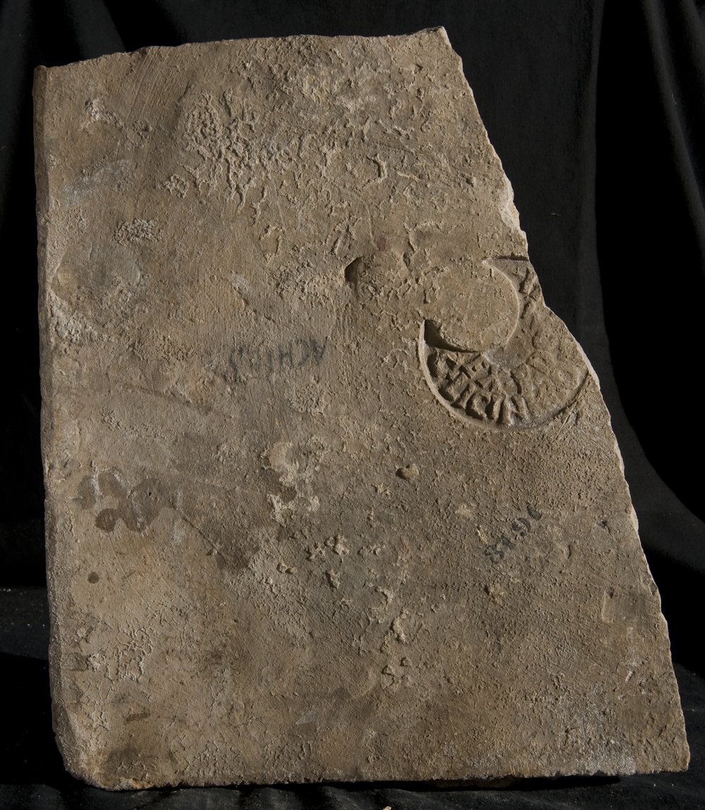 Inv. 8191.TIF