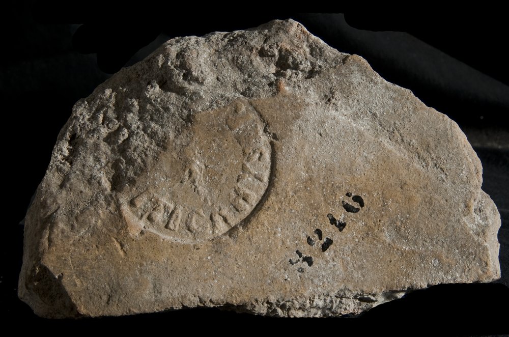 Inv. 8216.TIF