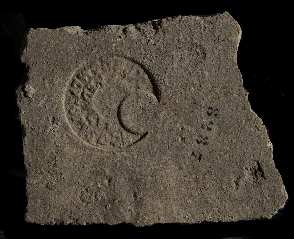 Inv. 8287.TIF