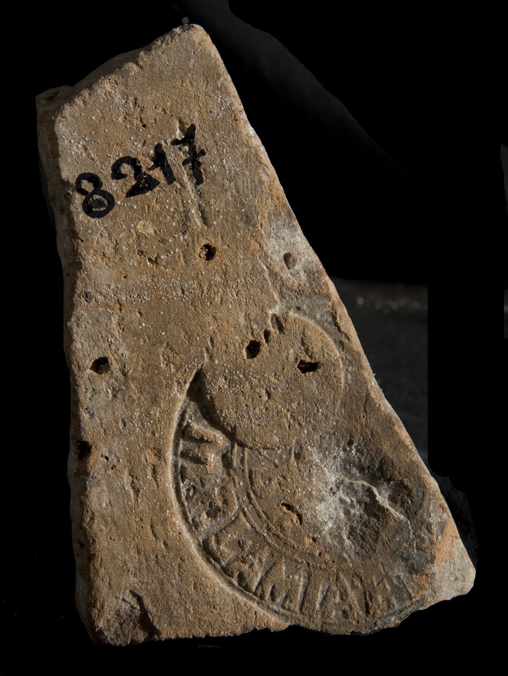 Inv. 8217.TIF