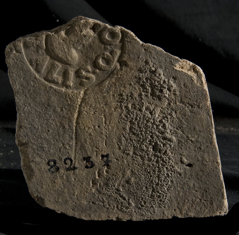 Inv. 8237.TIF