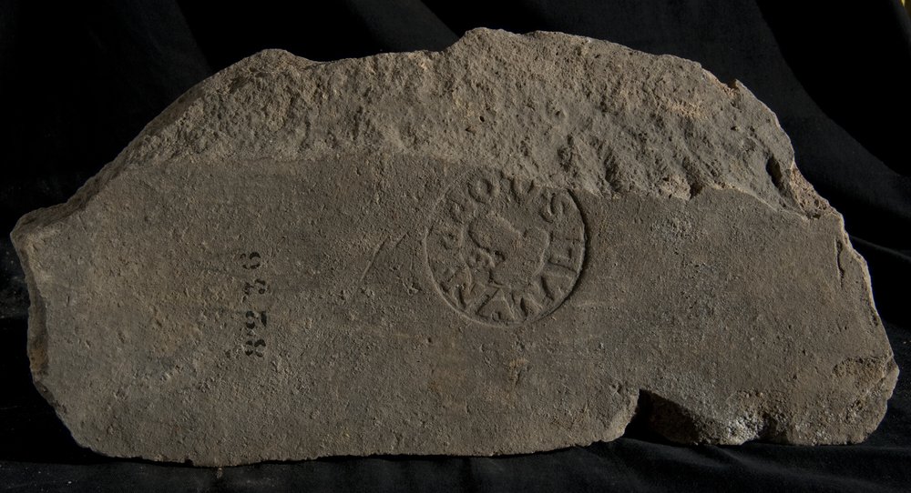 Inv. 8236.TIF
