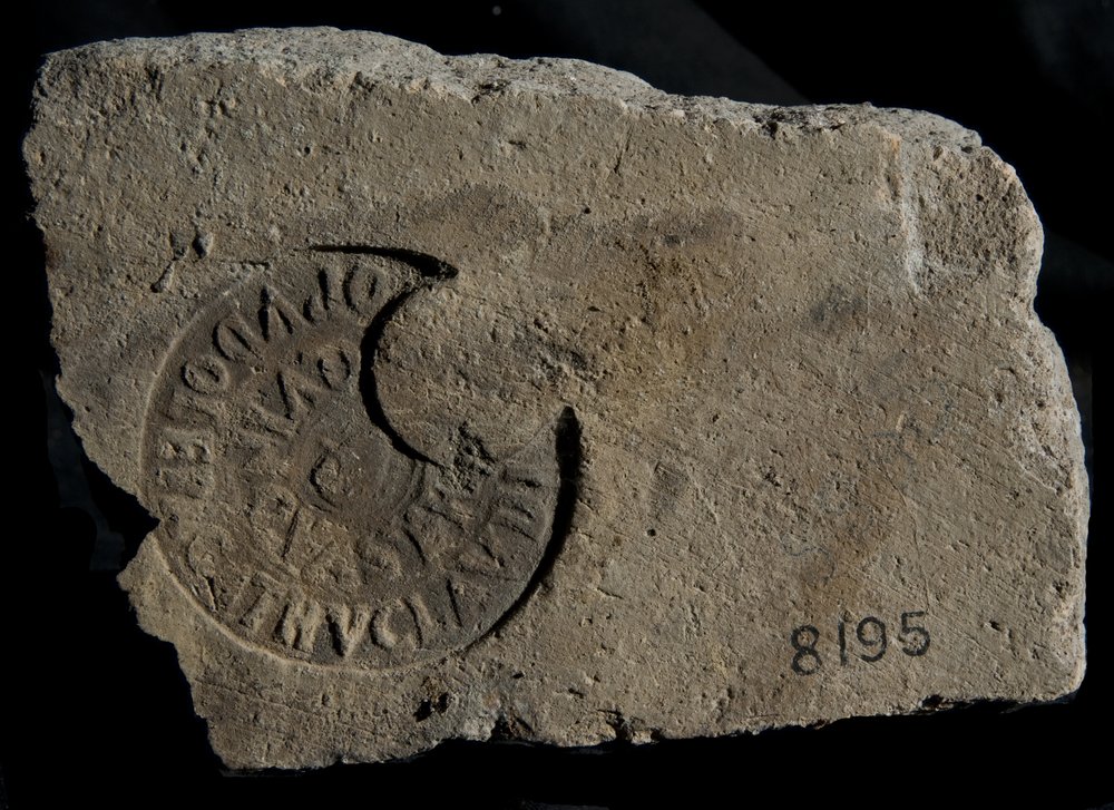 Inv. 8195.TIF
