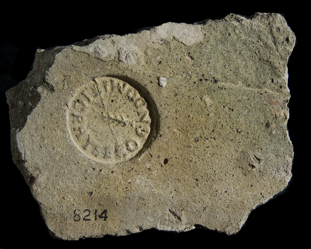 Inv. 8214.TIF