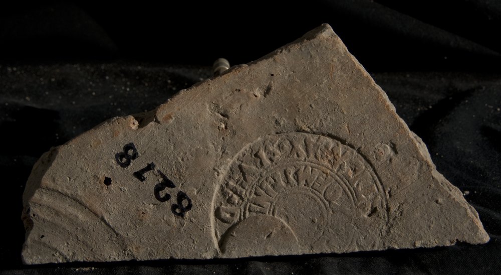 Inv. 8278.TIF