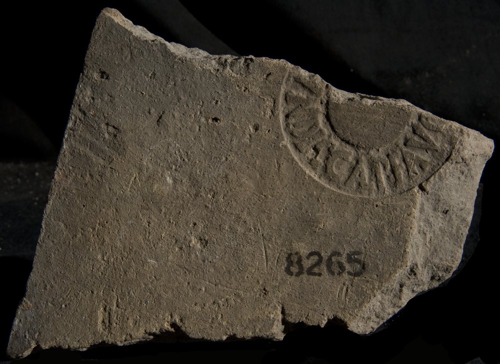Inv. 8265.TIF