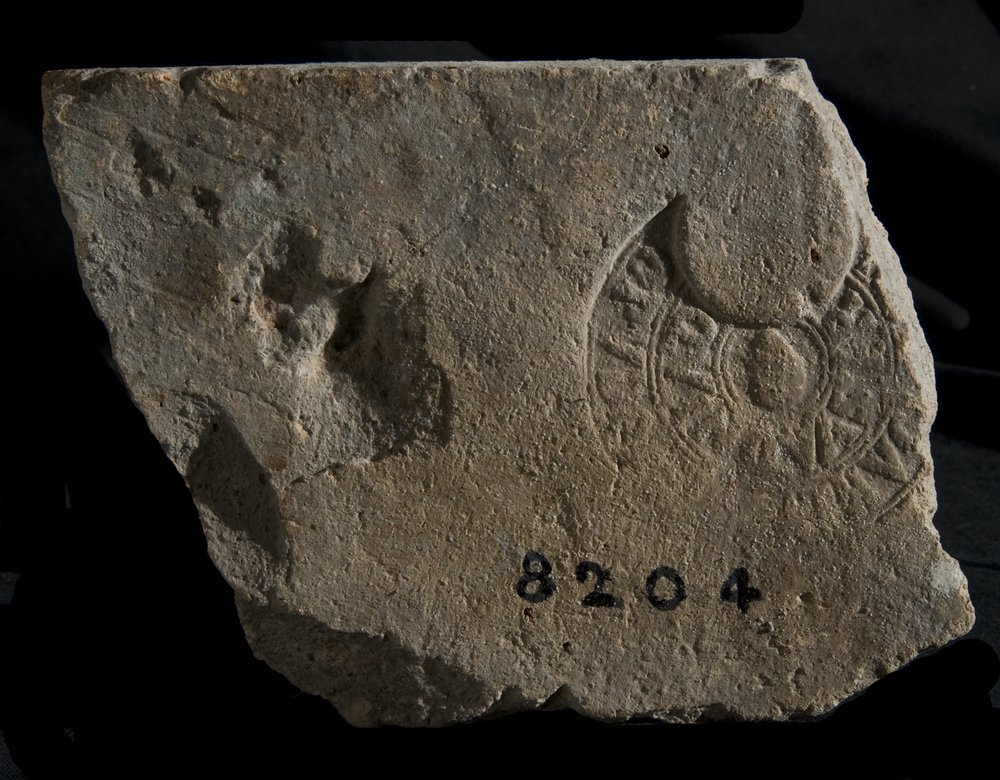 Inv. 8204.TIF