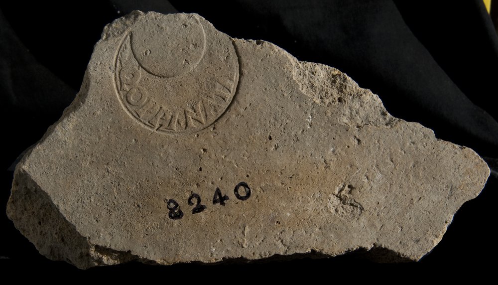 Inv. 8240.TIF