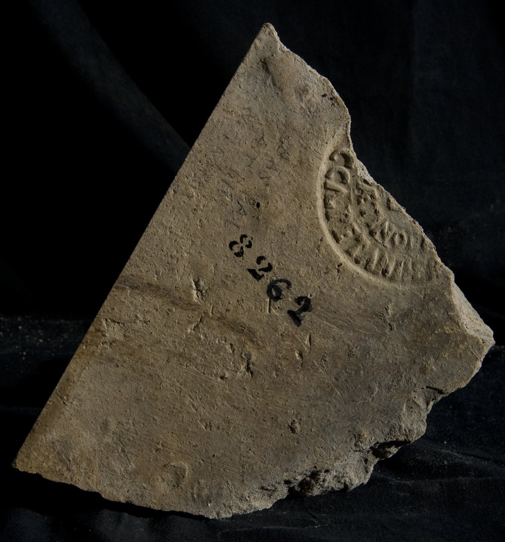 Inv.8262.TIF