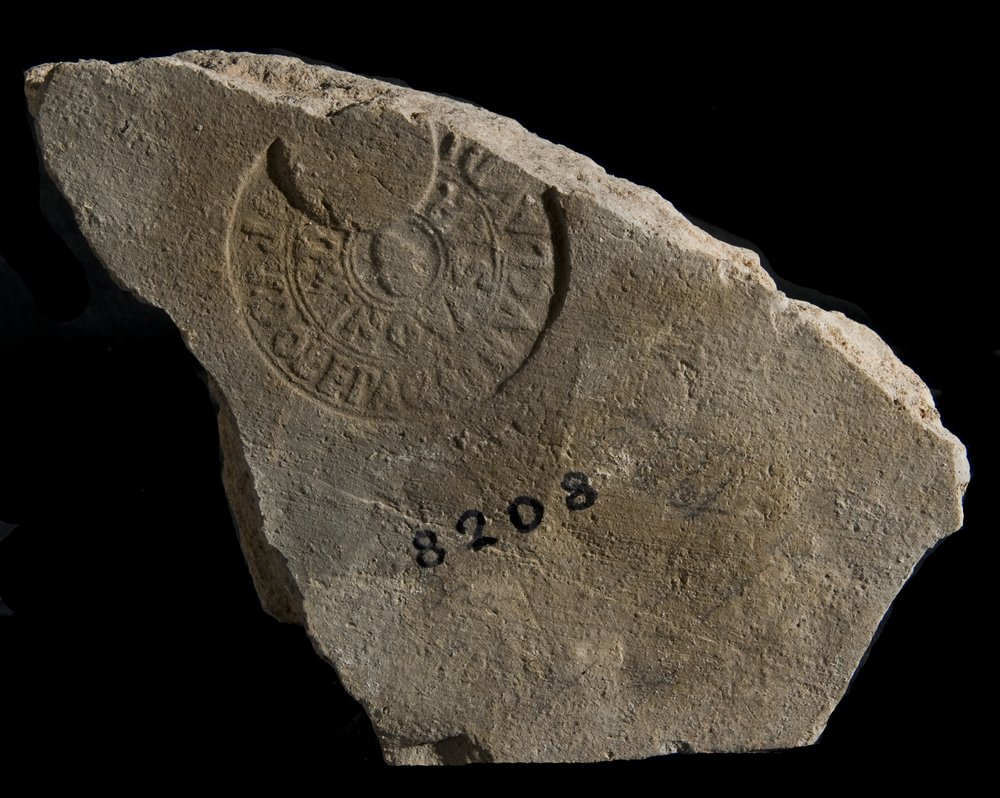 Inv. 8208.TIF