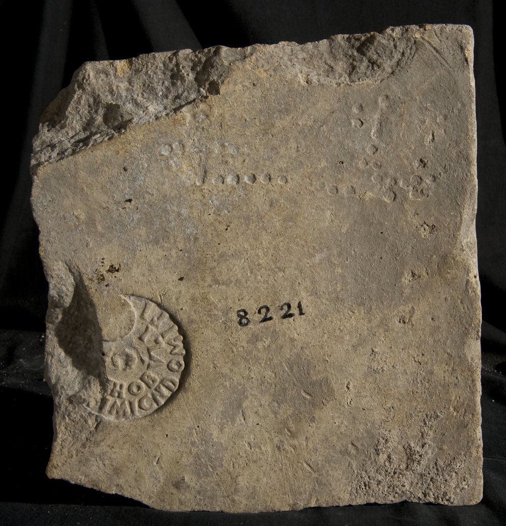 Inv. 8221.TIF