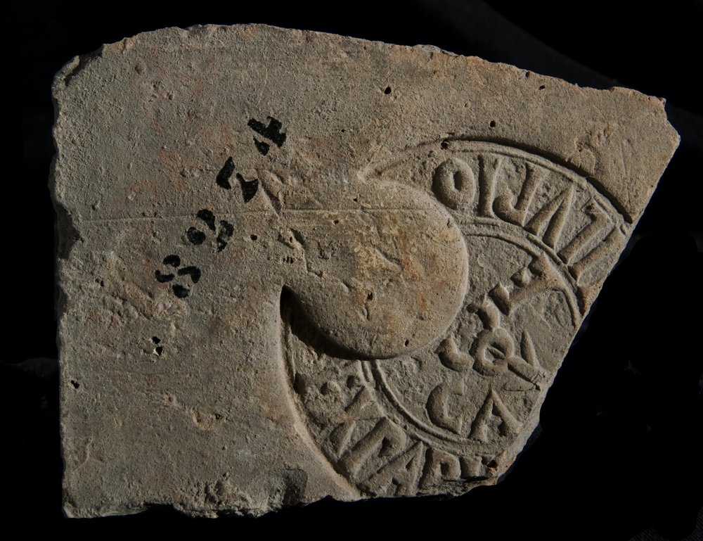 Inv. 8274.TIF
