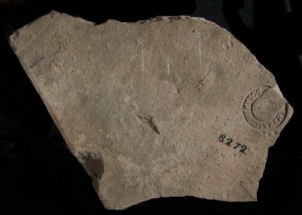 Inv. 8272.TIF