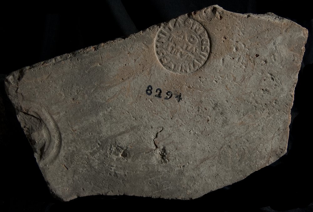 Inv. 8294.TIF