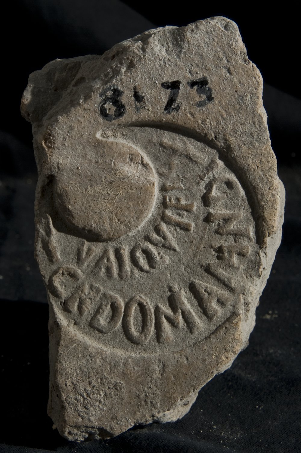Inv. 8173.TIF