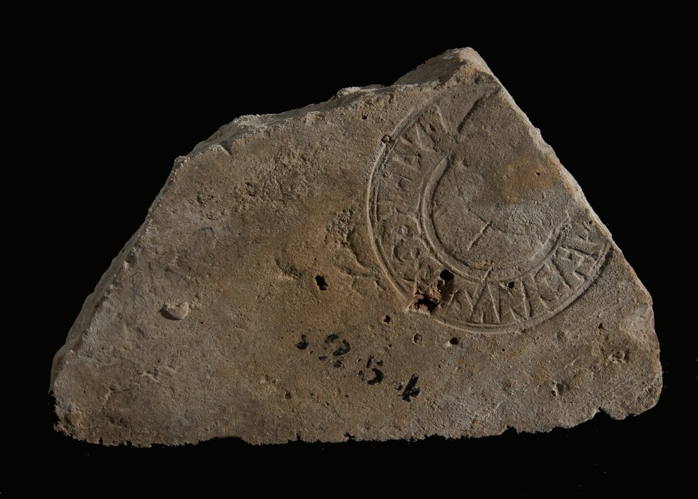 Inv. 8254.TIF