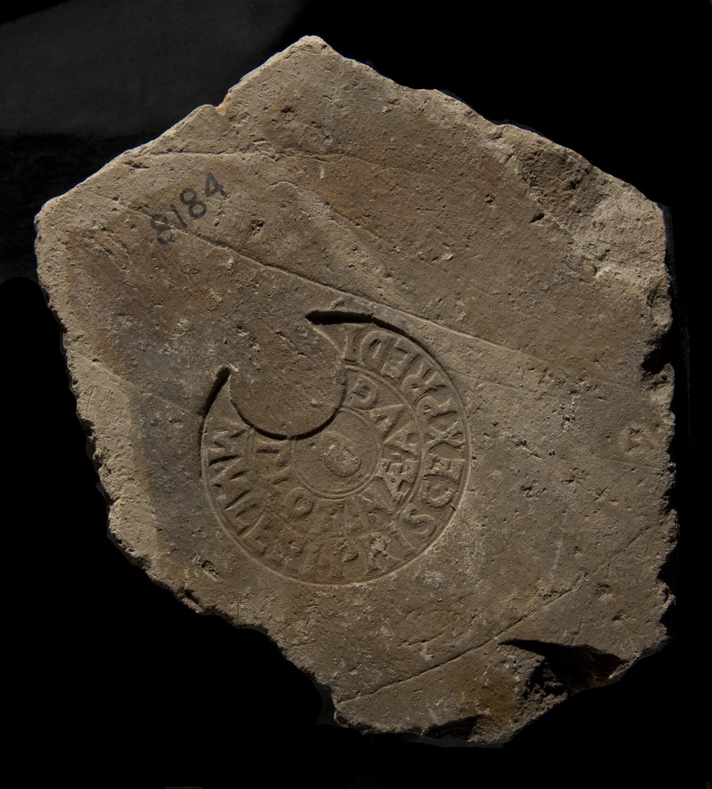 Inv. 8184.TIF