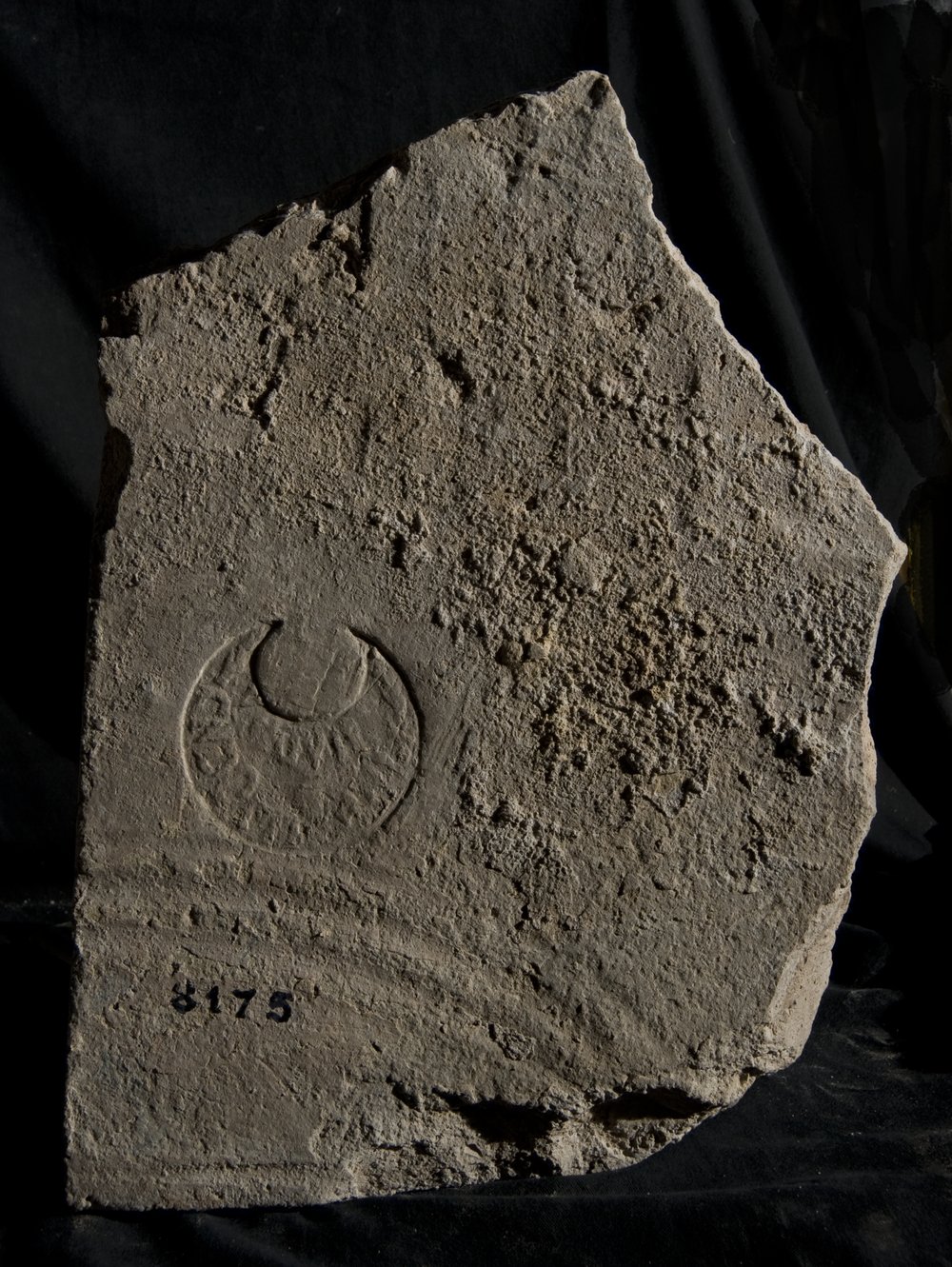 Inv. 8175.TIF
