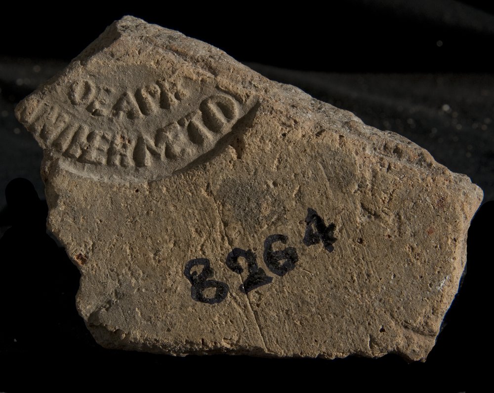 Inv. 8264.TIF
