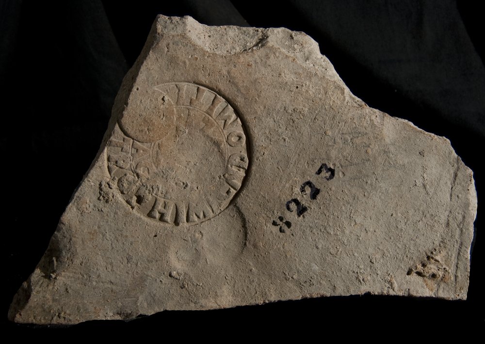 Inv. 8223.TIF