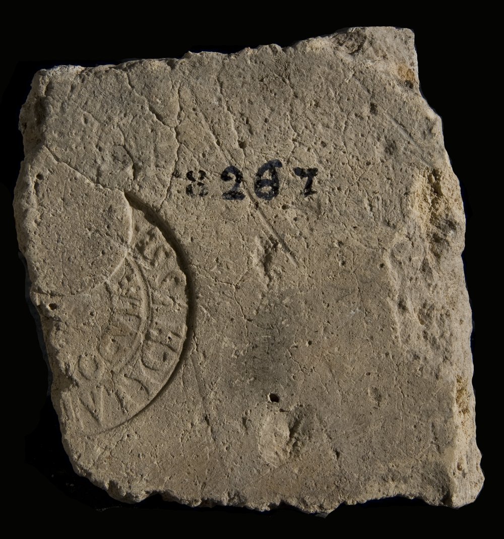 Inv. 8267.TIF