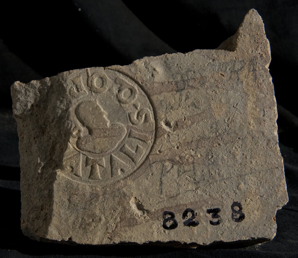 Inv. 8238.TIF