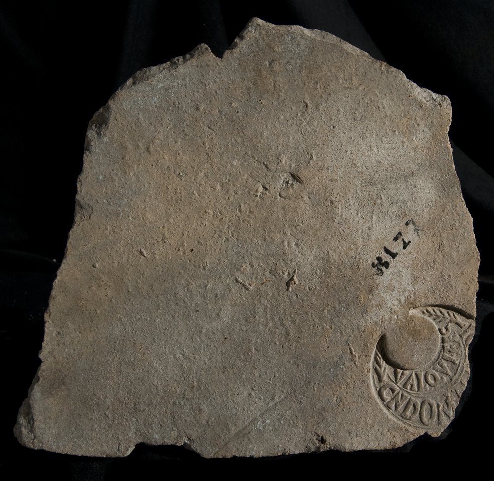 Inv. 8177.TIF
