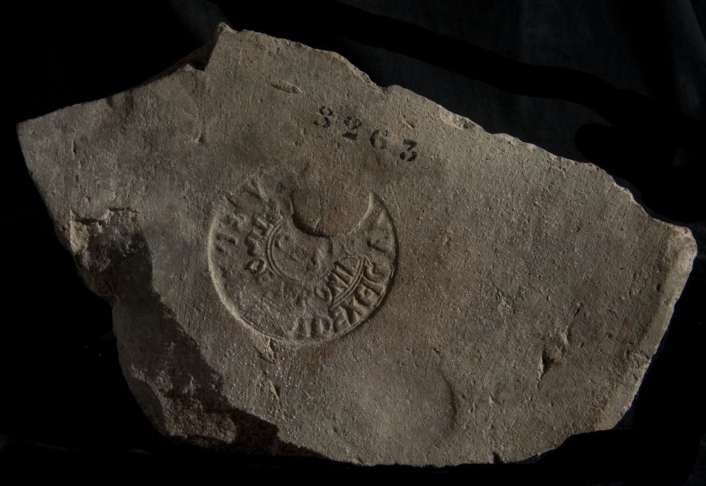 Inv. 8263.TIF