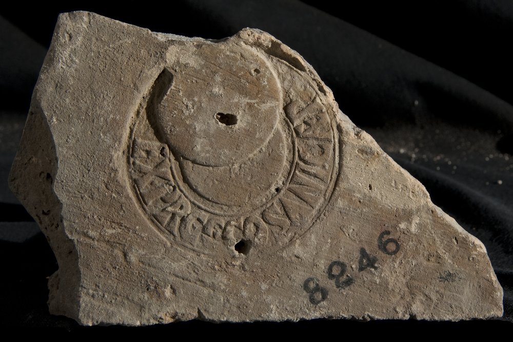Inv. 8246.TIF