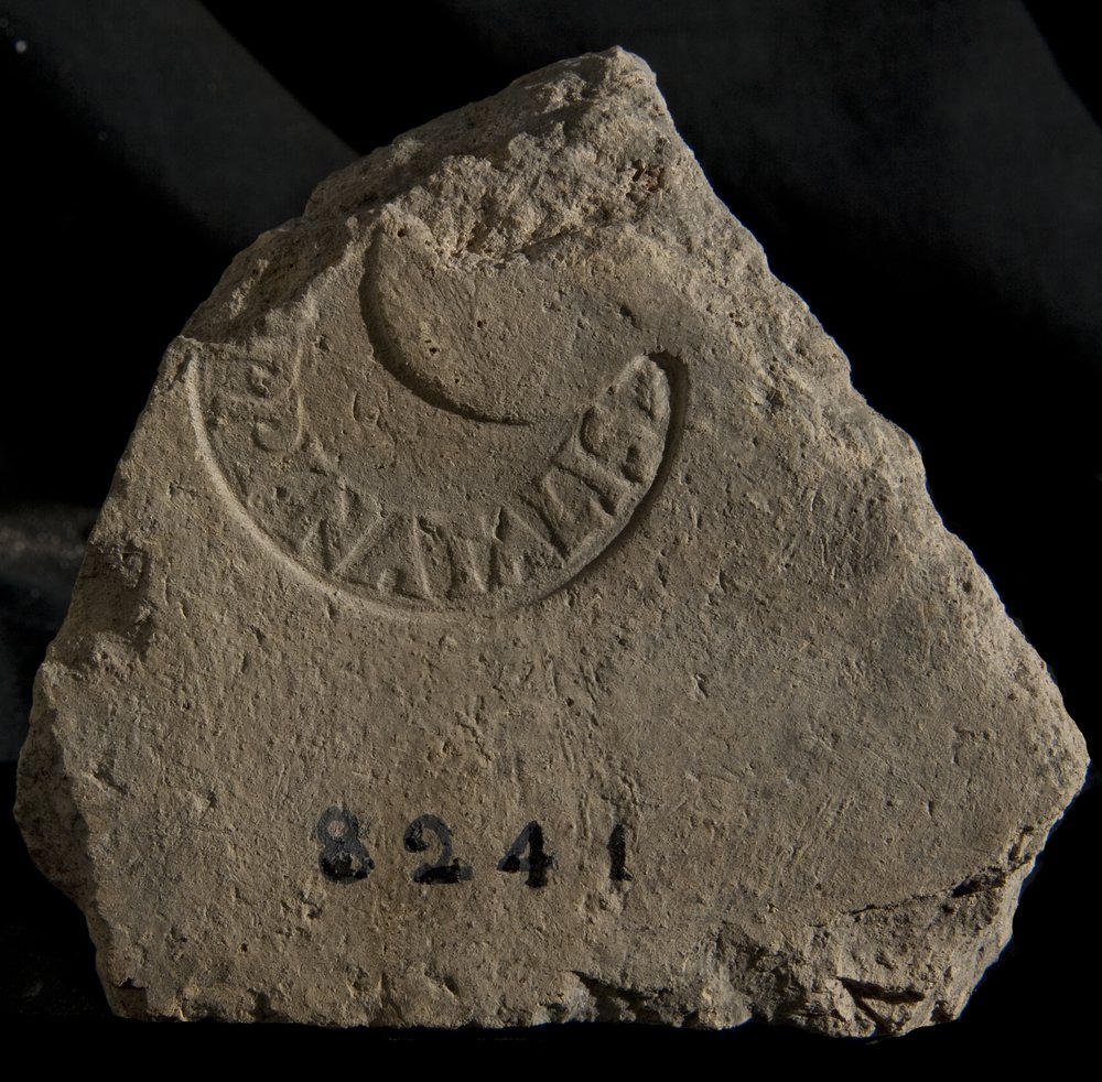 Inv.8241.TIF