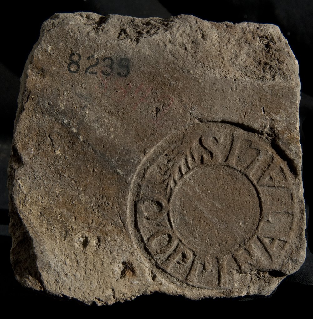 Inv. 8239.TIF