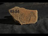 DSC_1399.NEF