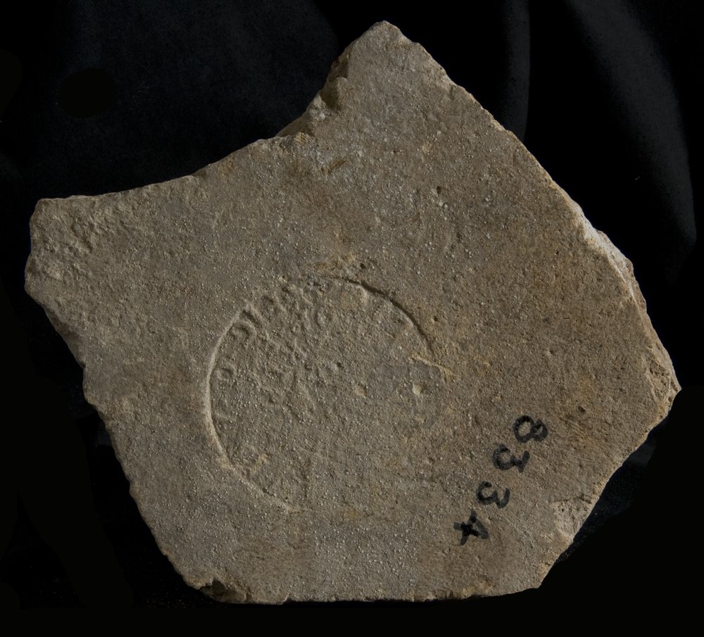 Inv. 8334.TIF
