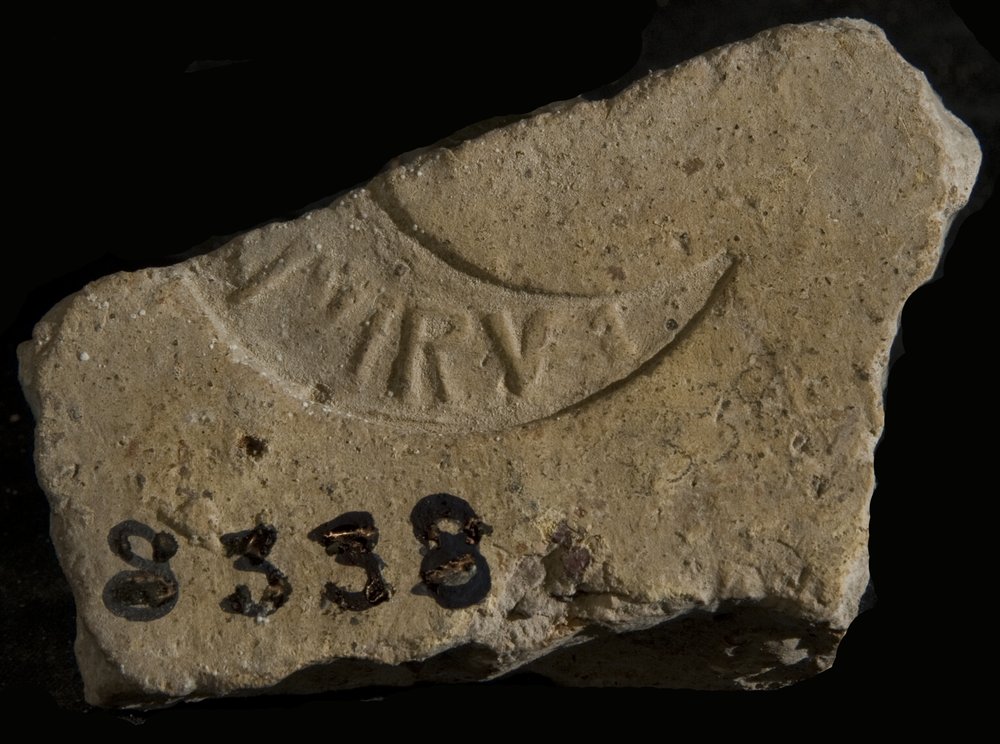 Inv. 8338.TIF
