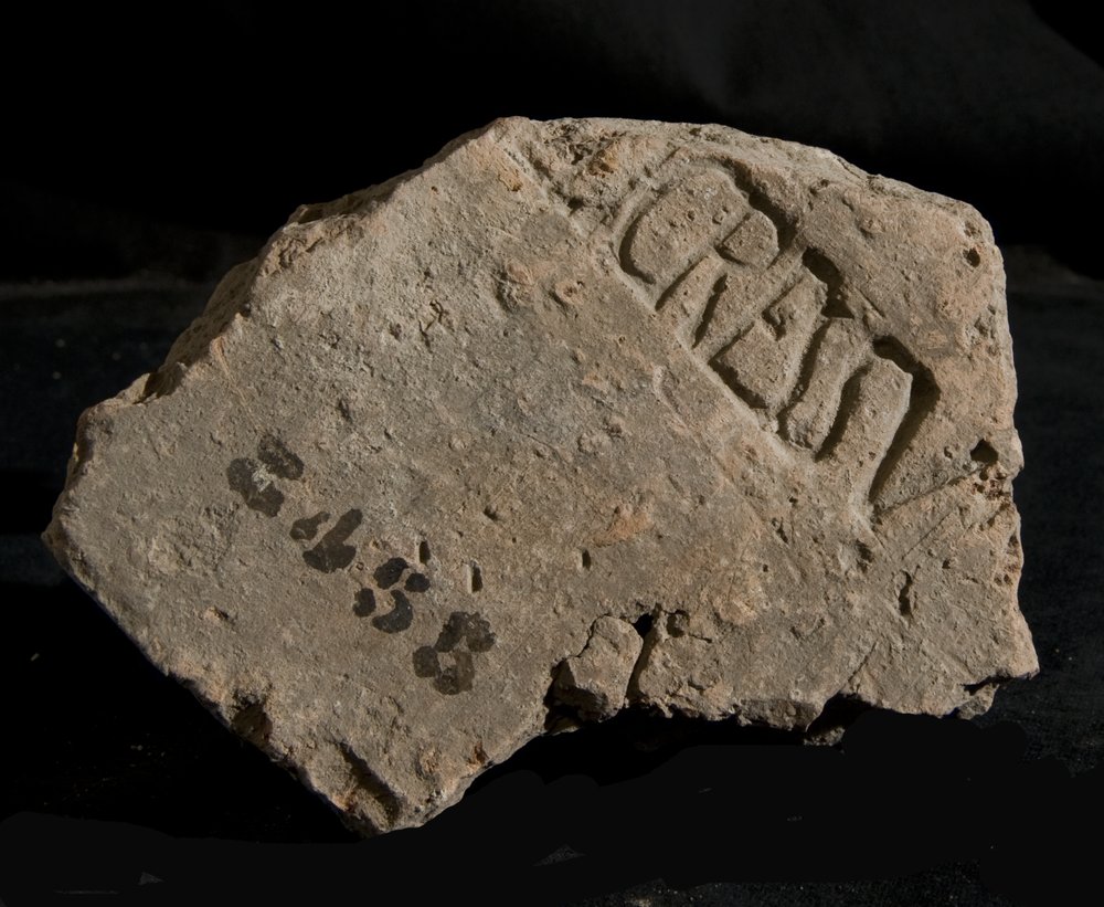 Inv. 8455.TIF