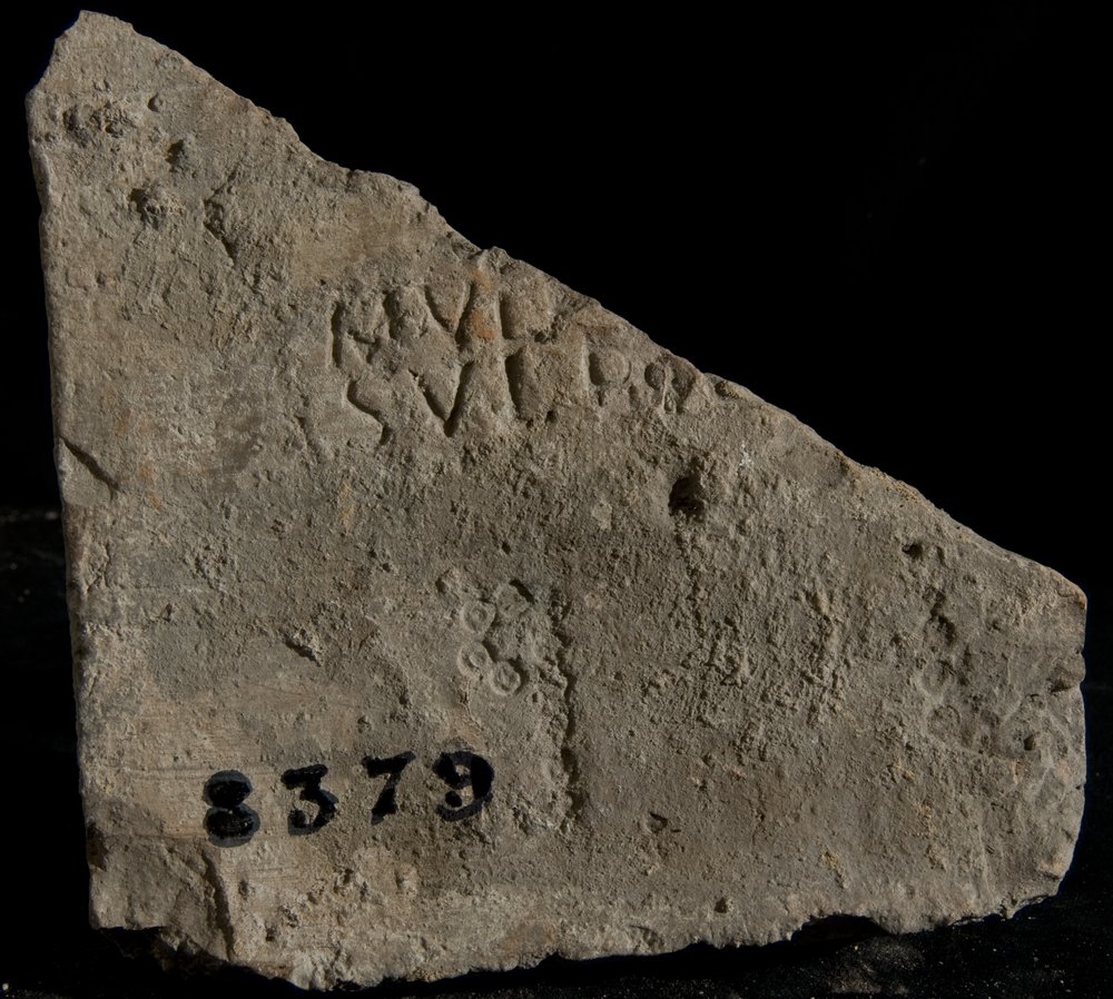 Inv. 8379.TIF