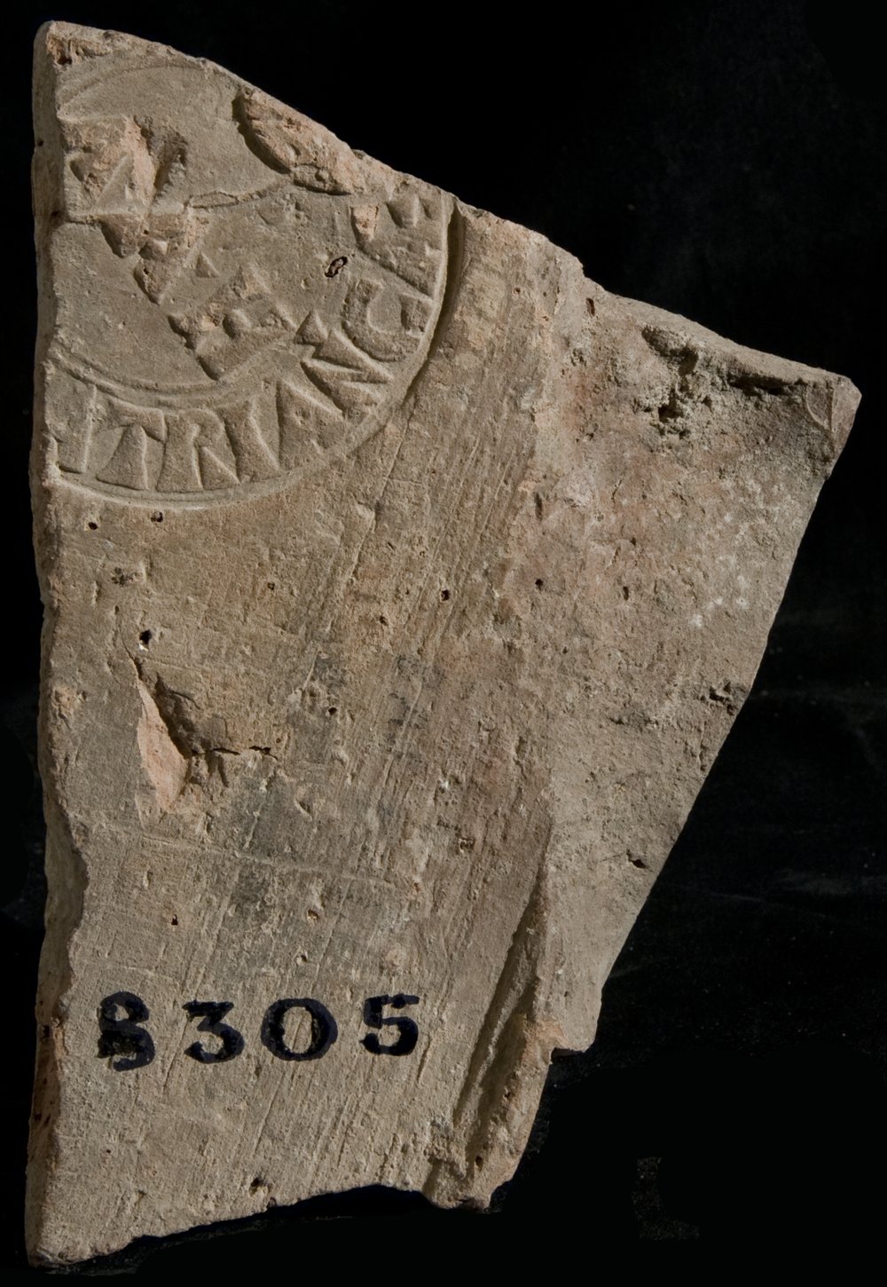 Inv. 8305.TIF