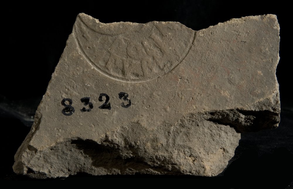 Inv. 8323.TIF
