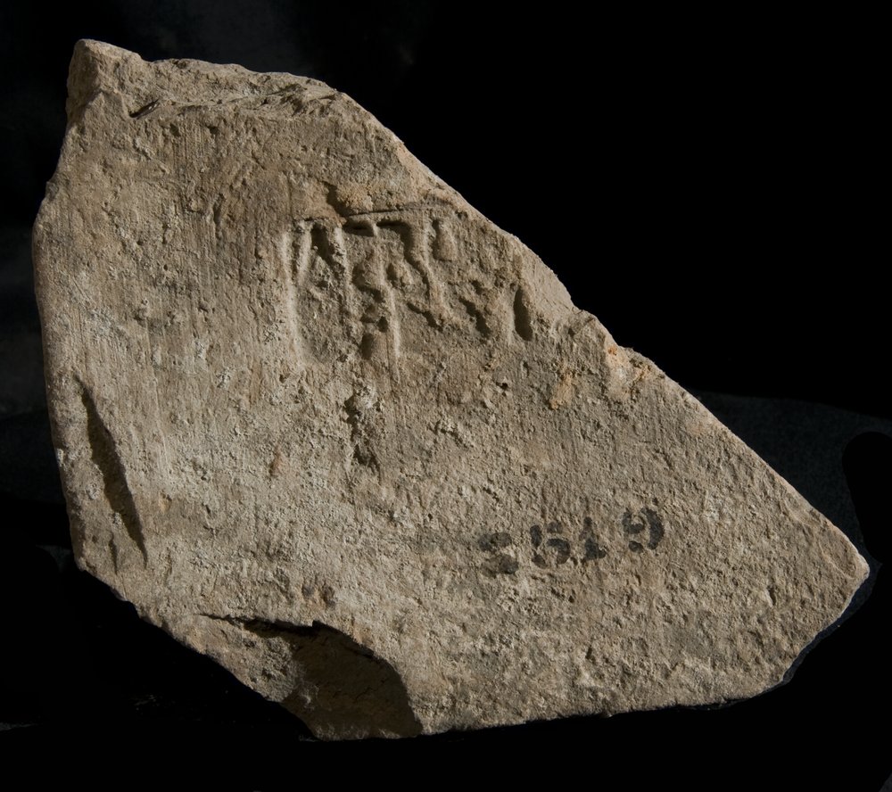Inv. 8519.TIF