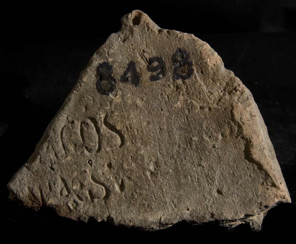Inv. 8498.TIF