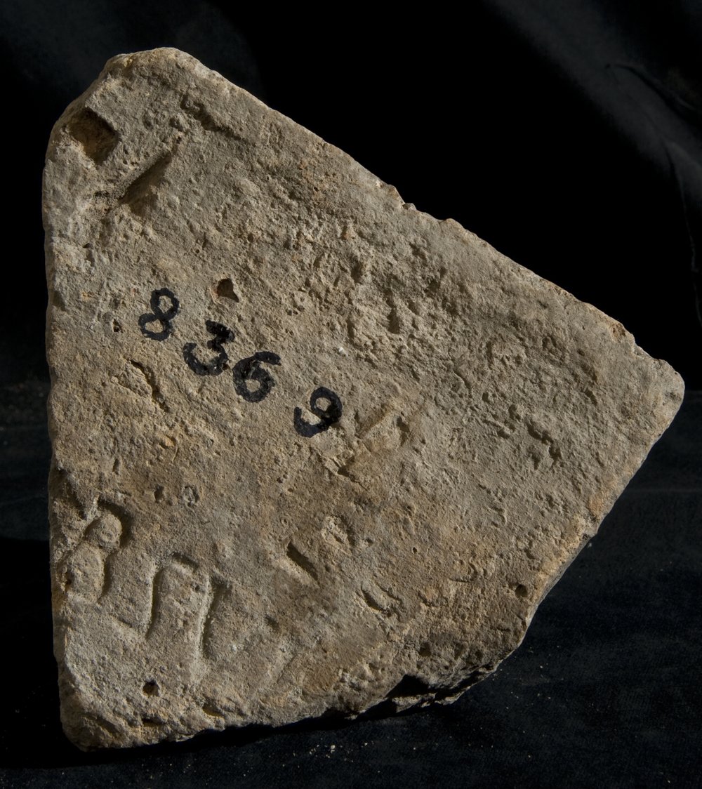 Inv. 8369.TIF